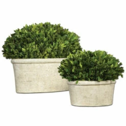 Cheap ๐ Uttermost Preserved Boxwood With Oval Dome (Set Of 2) ๐