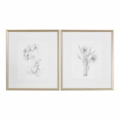 Deals ๐งจ Uttermost Botanical Sketches Framed Prints (Set Of 2) ๐ฅ