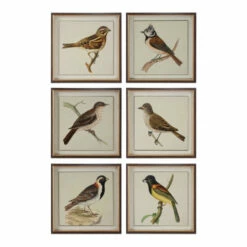 Promo 🤩 Uttermost Spring Soldiers Bird Prints (Set Of 6) 😍