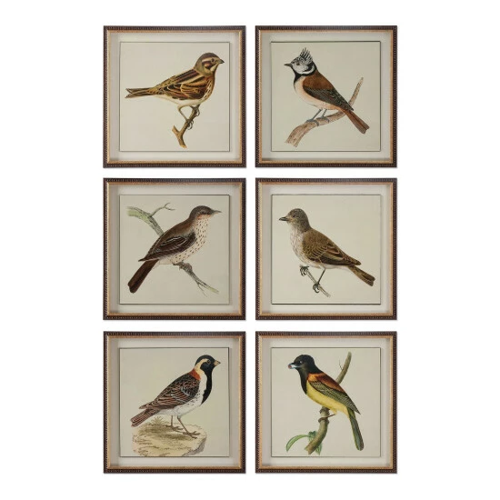Promo π€© Uttermost Spring Soldiers Bird Prints (Set Of 6) π