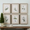 Discount 🛒 Uttermost Green Floral Botanical Study Prints (Set Of 6) 😍