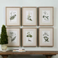 Discount 🛒 Uttermost Green Floral Botanical Study Prints (Set Of 6) 😍