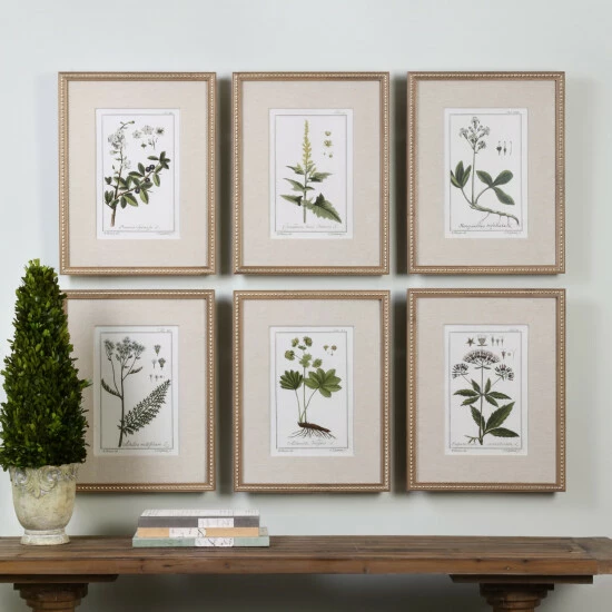 Discount ๐ Uttermost Green Floral Botanical Study Prints (Set Of 6) ๐