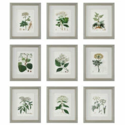 Hot Sale 😉 Uttermost Antique Botanicals Framed Prints, S/9 - 16.75 W X 19.5 H X 1.75 D (inches) 🛒