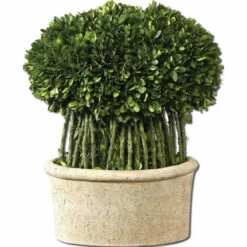 Discount ⭐ Uttermost Preserved Boxwood Willow Topiary 😀
