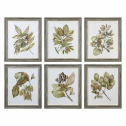 Best reviews of ๐ Uttermost Seedlings Framed Prints (Set Of 6) ๐