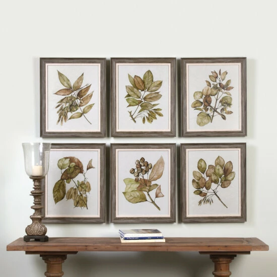 Best reviews of ๐ Uttermost Seedlings Framed Prints (Set Of 6) ๐ - Image 2