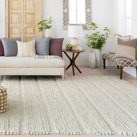 Budget ๐ฅฐ Uttermost Clifton Ivory Hand Woven Rug ๐ - Image 5