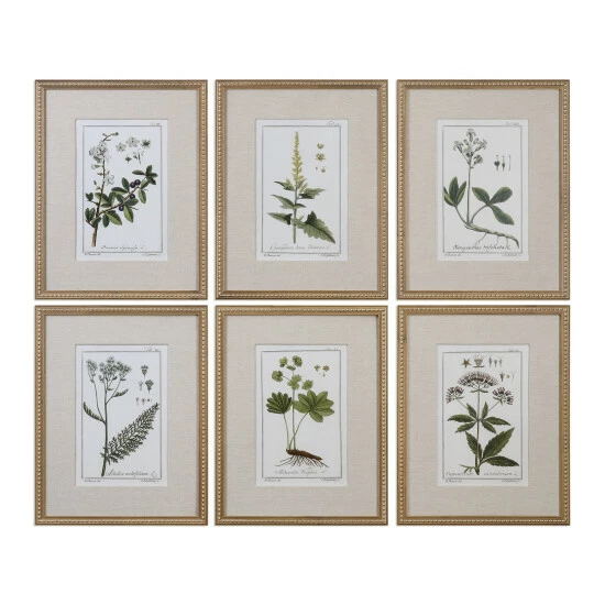 Discount ๐ Uttermost Green Floral Botanical Study Prints (Set Of 6) ๐ - Image 2
