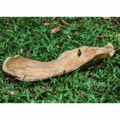 Top 10 🔔 Uttermost Teak Wood Leaf-shaped Bowl 🎁