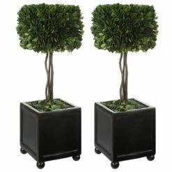 Cheapest โ Uttermost Preserved Boxwood Square Topiaries (Set Of 2) - 19 X 6 X 6 ๐คฉ