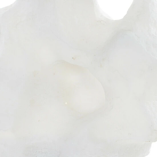 Promo ๐ Uttermost Remnant Sculptures, Set/2 - S- 7x12x5, L- 8x16x6 โจ - Image 3