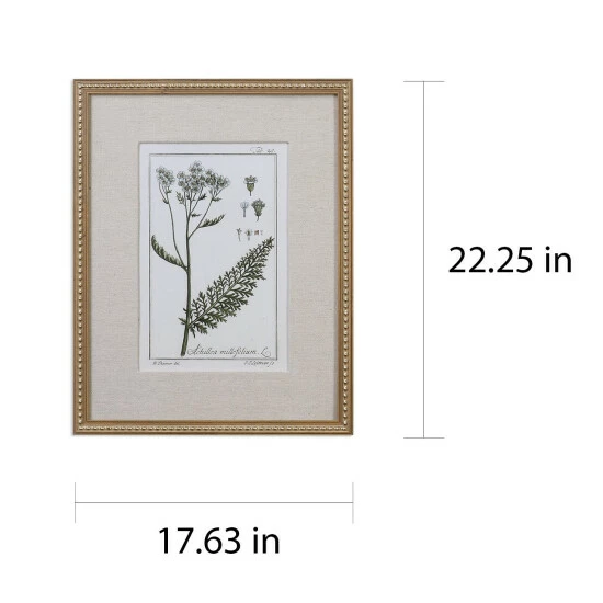 Discount ๐ Uttermost Green Floral Botanical Study Prints (Set Of 6) ๐ - Image 3