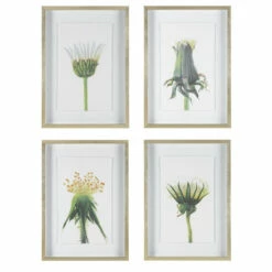 Wholesale 👏 Uttermost Wildflowers Gold Framed Prints (Set Of 4) 😉
