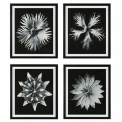 Cheap ๐งจ Uttermost Contemporary Floret Framed Prints (Set Of 4) ๐