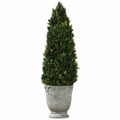 Hot Sale ❤️ Uttermost Boxwood Cone Topiary 🤩