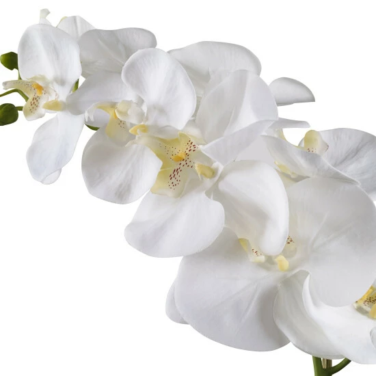 Best reviews of 👏 Uttermost Cami White Orchid ⭐ - Image 2