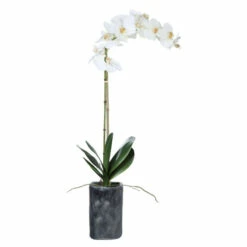 Outlet 🔔 Uttermost Eponine White Orchid 🔔