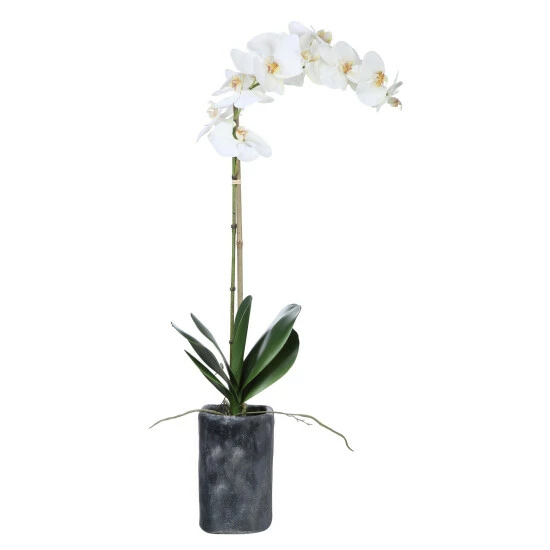 Outlet ๐ Uttermost Eponine White Orchid ๐