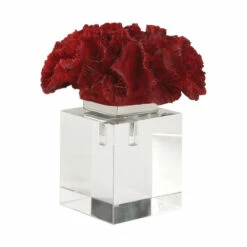 Best reviews of ⌛ Uttermost Red Coral Cluster 👏