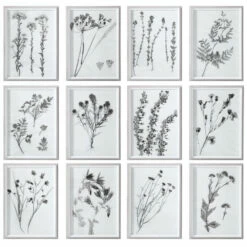 Outlet 😉 Uttermost Contemporary Botanicals Framed Prints (Set Of 12) 👏