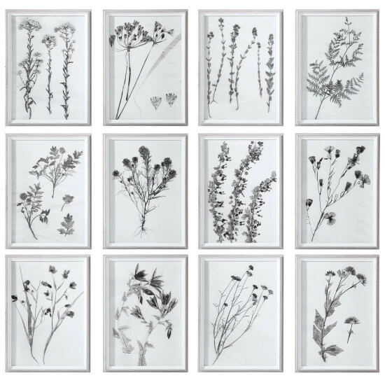 Outlet 😉 Uttermost Contemporary Botanicals Framed Prints (Set Of 12) 👏