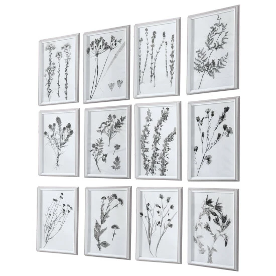 Outlet 😉 Uttermost Contemporary Botanicals Framed Prints (Set Of 12) 👏 - Image 2