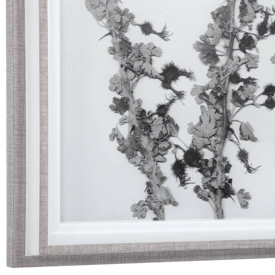Outlet 😉 Uttermost Contemporary Botanicals Framed Prints (Set Of 12) 👏 - Image 4