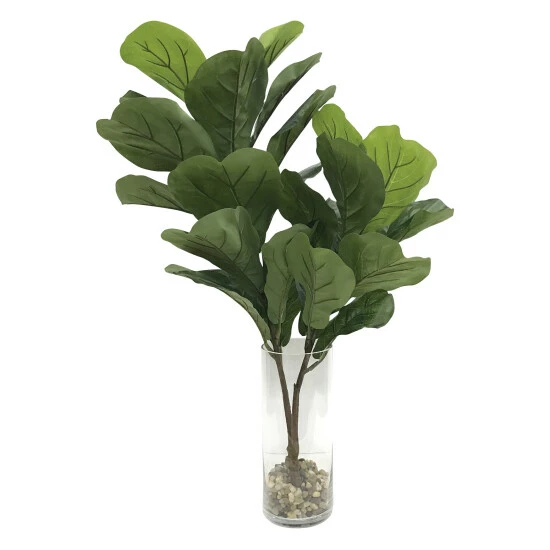 Best reviews of ๐ Uttermost Urbana Fiddle Leaf Fig Plant ๐