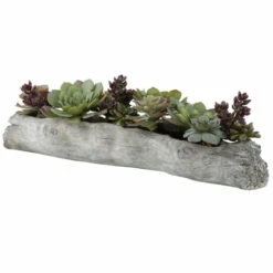 Flash Sale ๐ Uttermost Charita Lush Succulents โ๏ธ