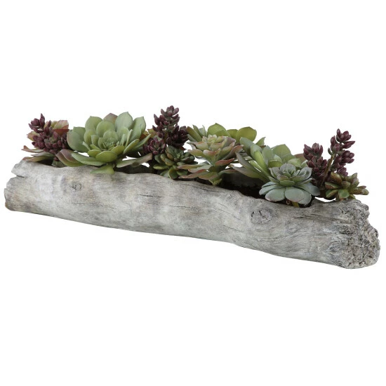 Flash Sale 🛒 Uttermost Charita Lush Succulents ✔️