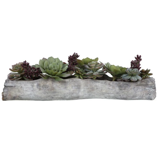 Flash Sale 🛒 Uttermost Charita Lush Succulents ✔️ - Image 2