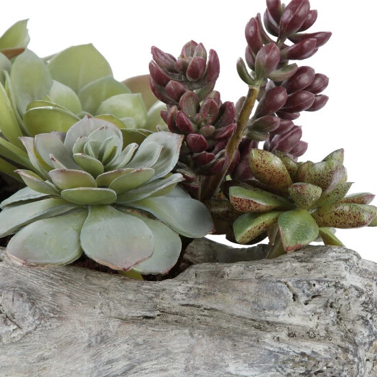 Flash Sale 🛒 Uttermost Charita Lush Succulents ✔️ - Image 3