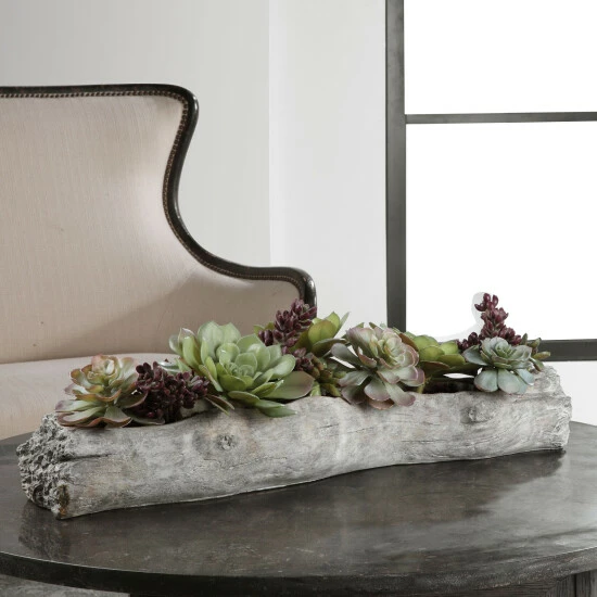 Flash Sale 🛒 Uttermost Charita Lush Succulents ✔️ - Image 4
