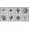 Wholesale 👍 Uttermost Sea Living Framed Prints (Set Of 8) ✔️