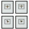 Best deal 🛒 Uttermost Anthophila Framed Prints (Set Of 4) 🔥