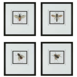 Best deal 🛒 Uttermost Anthophila Framed Prints (Set Of 4) 🔥