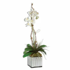 Buy ✔️ Uttermost White Kaleama Orchids 😉