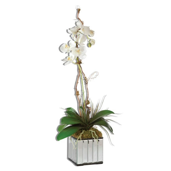Buy ✔️ Uttermost White Kaleama Orchids 😉