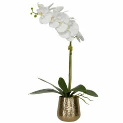 Best reviews of ✔️ Uttermost Cami Orchid With Brass Pot - 24 X 14 X 8 😍
