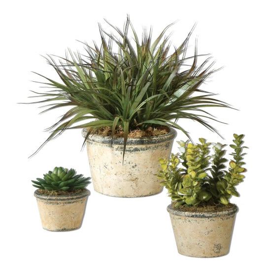 Best deal ๐ฅ Uttermost La Costa Greenery (Set Of 3) โ๏ธ