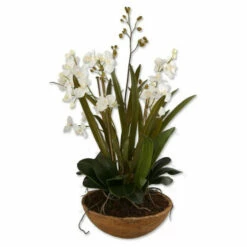 Best deal 🎁 Uttermost Moth Orchid Planter 👍