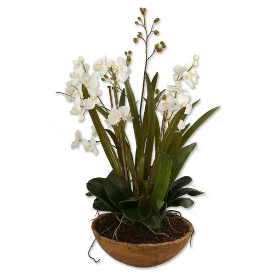 Best deal ๐ Uttermost Moth Orchid Planter ๐