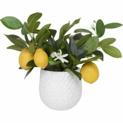 Promo ๐ Uttermost Positano Lemon In White Pot - 12 X 14 X 14 โ๏ธ