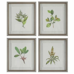 Flash Sale ๐ Uttermost Wildflower Study Framed Prints, S/4 - 19 W X 22 H X 1.75 D (inches) ๐
