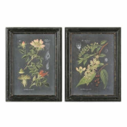 Cheapest 💯 Uttermost Midnight Botanicals Wall Art (Set Of 2) 🛒
