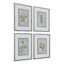 Top 10 🛒 Uttermost Stem Study Framed Prints (Set Of 4) - Green 🛒